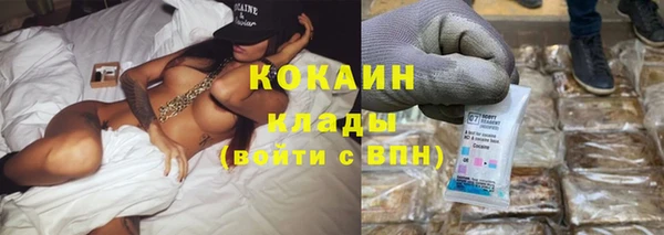 эйфоретик Бородино
