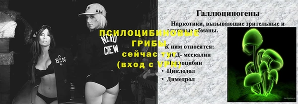 эйфоретик Бородино