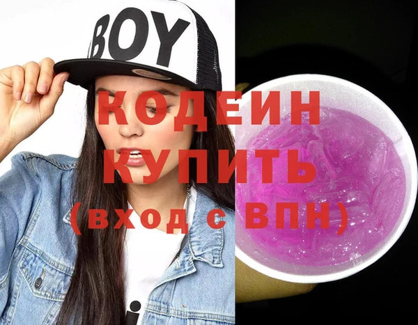 эйфоретик Бородино