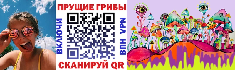 Псилоцибиновые грибы ЛСД  Купить закладки  Алексеевка 